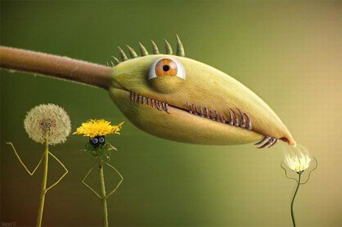 The Imagination At Work