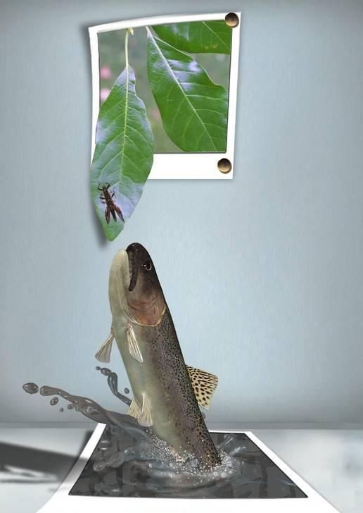 Some Things are Out Of Bounds (Photoshop Work)