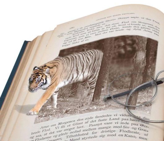 Some Things are Out Of Bounds (Photoshop Work)