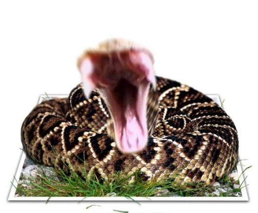 Some Things are Out Of Bounds (Photoshop Work)