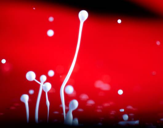 Red N White Cute Combination