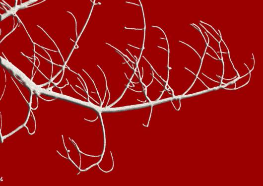 Red N White Cute Combination