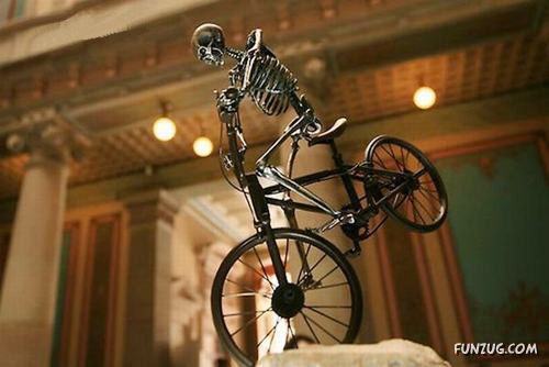 Creative Skeleton Sculptures