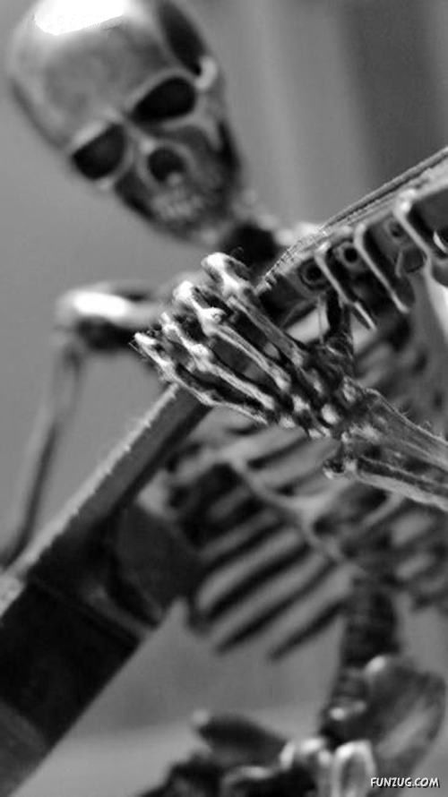Creative Skeleton Sculptures