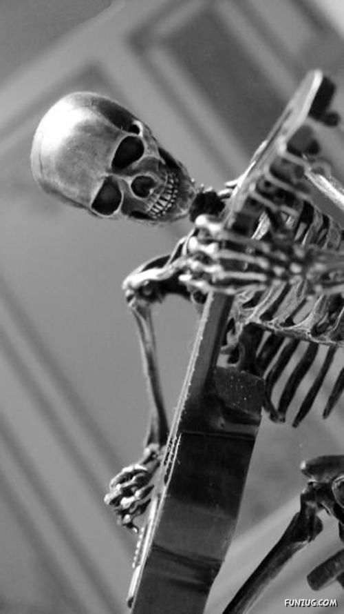 Creative Skeleton Sculptures