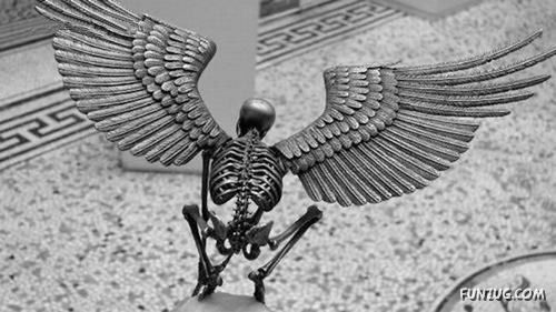 Creative Skeleton Sculptures