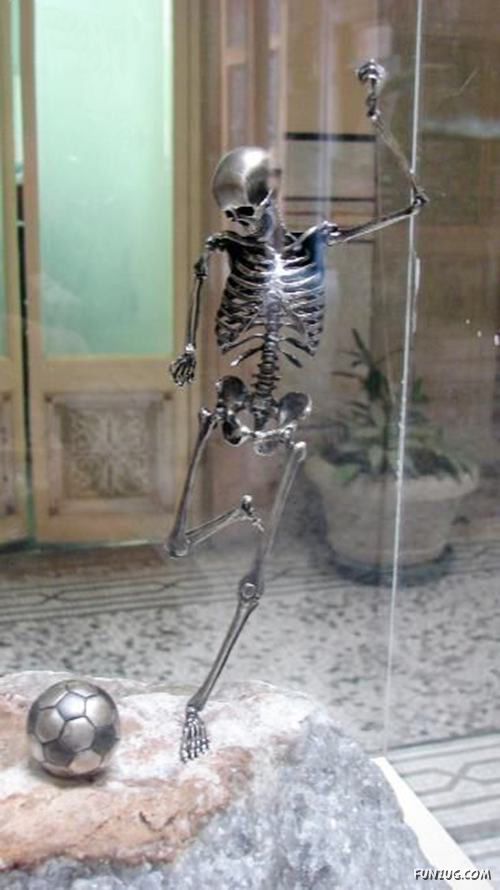 Creative Skeleton Sculptures