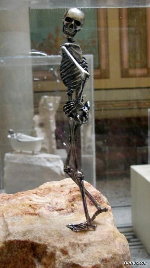 Creative Skeleton Sculptures