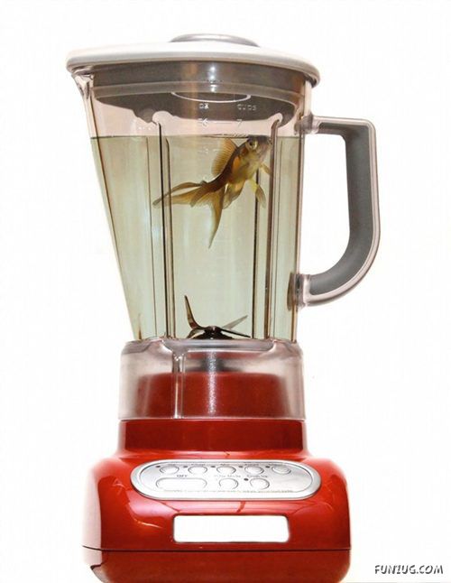 Creative Technology in Daily Life