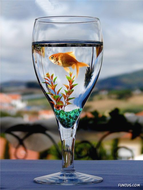 Creative Technology in Daily Life