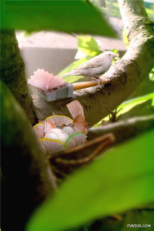 Creative Technology in Daily Life