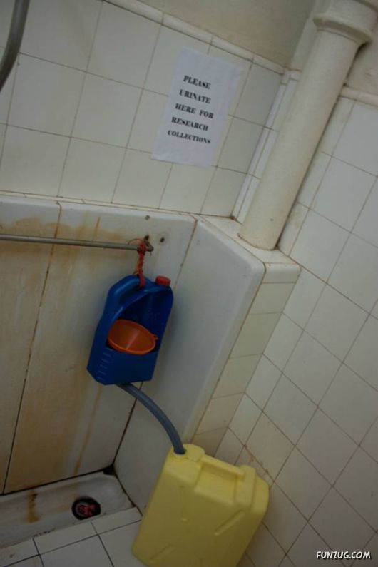 Adjustment Is Important In Life