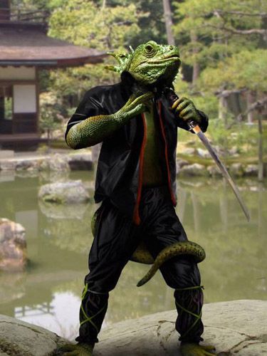 Funny Animals in Action (Photoshop Work)