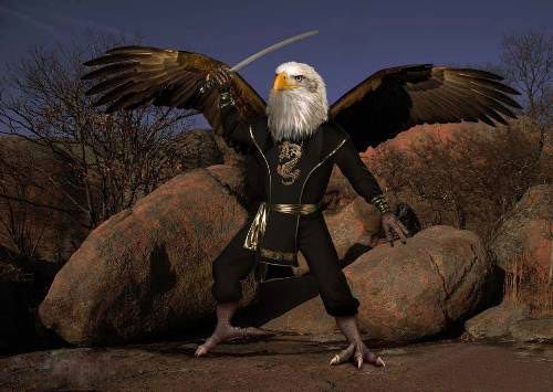 Funny Animals in Action (Photoshop Work)