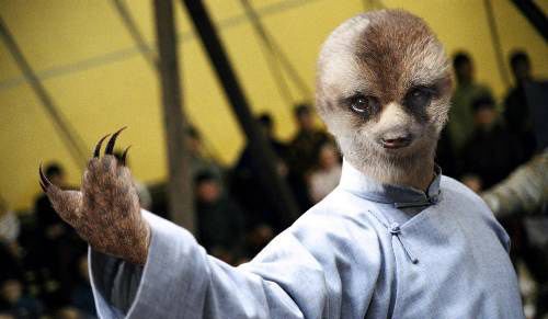 Funny Animals in Action (Photoshop Work)