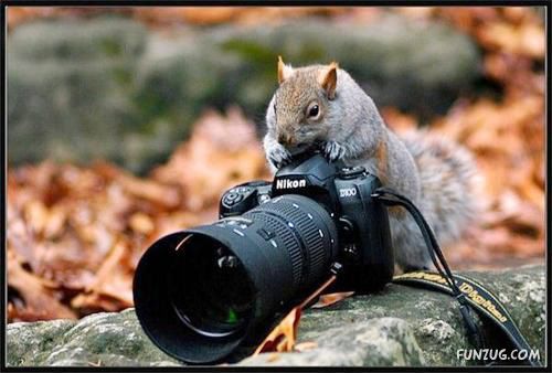 Animals Love The Camera Too