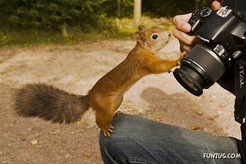 Animals Love The Camera Too