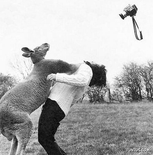 Animals Love The Camera Too