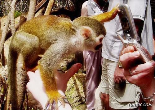 Animals Love The Camera Too