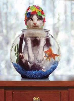 What do Animals Do when Masters are not Around?