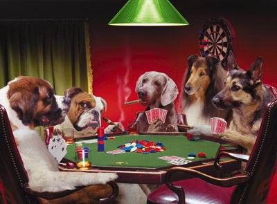 What do Animals Do when Masters are not Around?