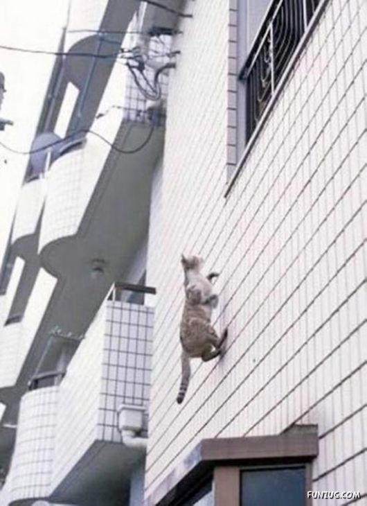 I Can't Stop Laughing