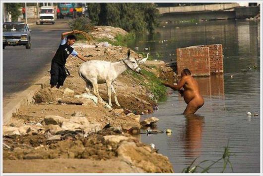 Cool Funny Pictures Dose