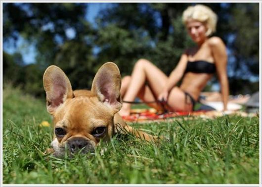 Cool Funny Pictures Dose