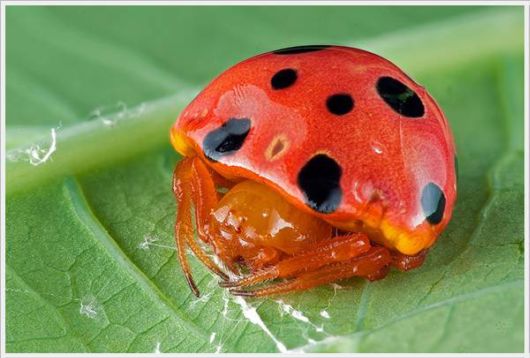 Cool Funny Pictures Dose