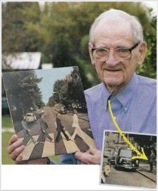 Cool Crazy Fun Pictures