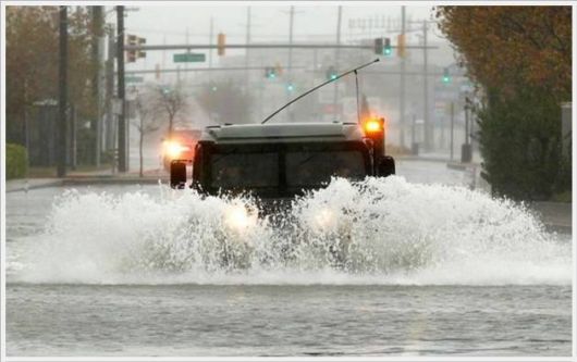 Cool Crazy Fun Pictures