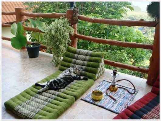 Cool Crazy Fun Pictures