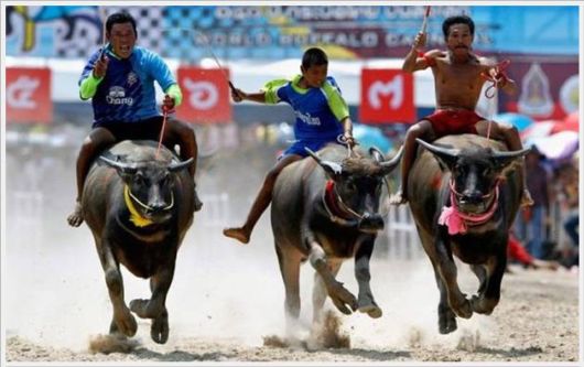 Cool Crazy Fun Pictures