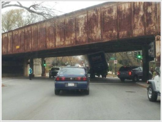 Cool Crazy Fun Pictures