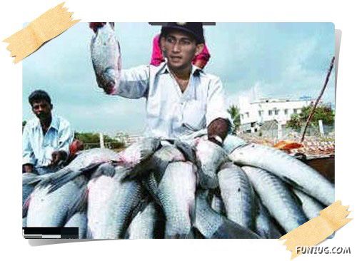 Cricket Team Players of the Future