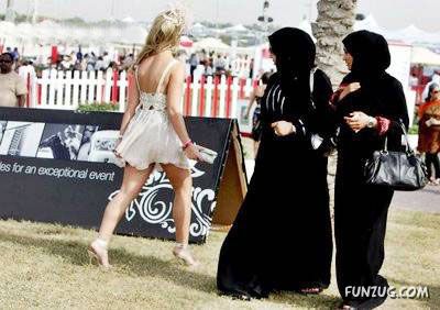 Curious Miscellaneous Funny Photos