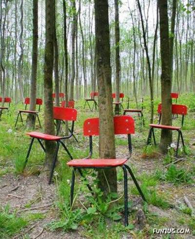 Curious Miscellaneous Funny Photos