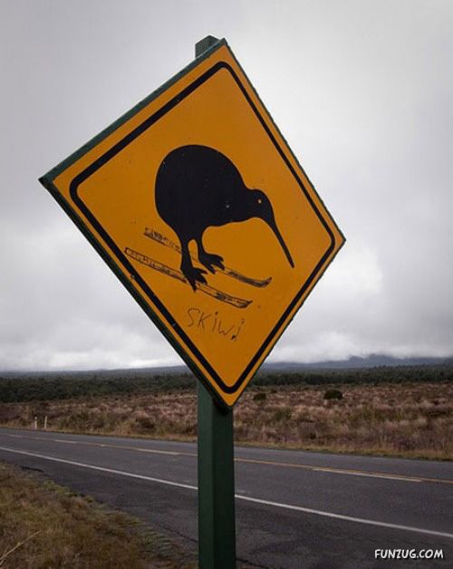 Defacing Signs is Good For You