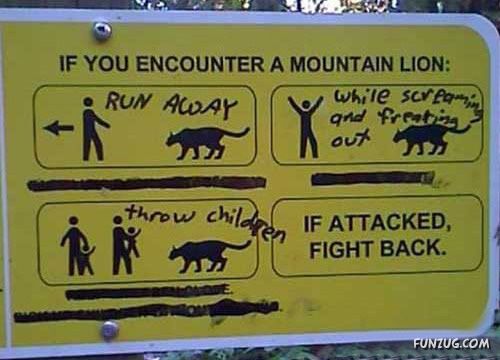 Defacing Signs is Good For You