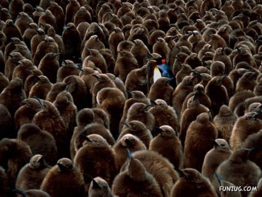 Some Are Different From Others