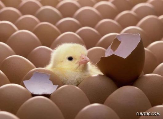 Some Are Different From Others