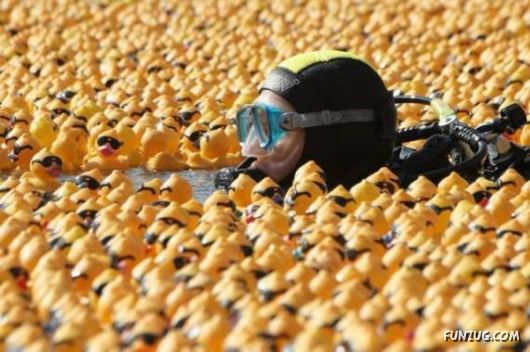 Some Are Different From Others