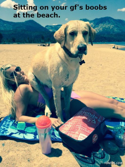 These Dogs Are Actually Just Real People