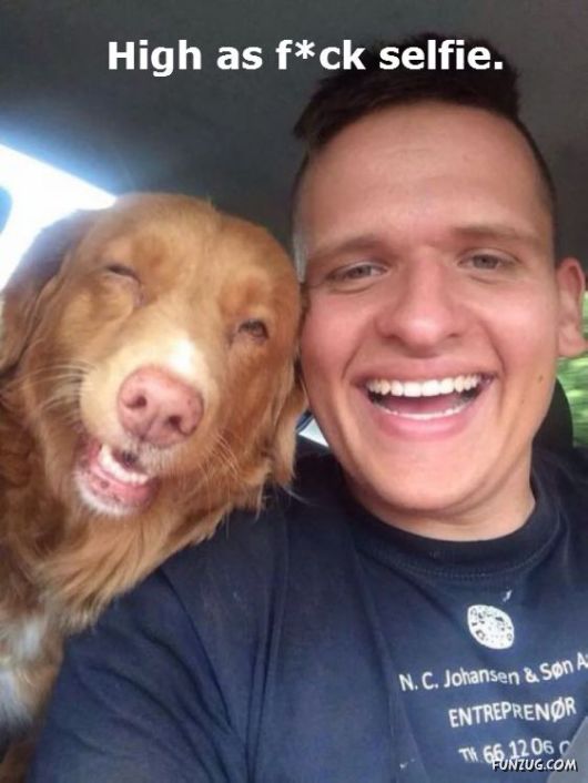 These Dogs Are Actually Just Real People