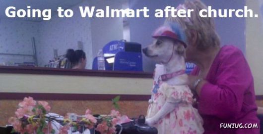 These Dogs Are Actually Just Real People