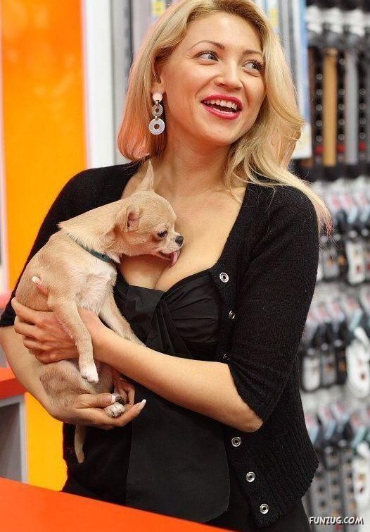 Dogs are Really Dogs (Funny)