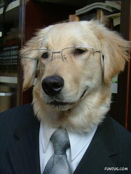 Have U Ever Seen Educated Dogs :-)