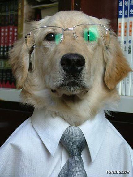 Have U Ever Seen Educated Dogs :-)