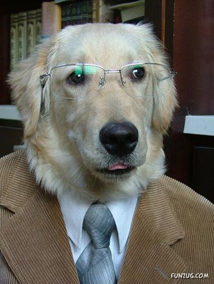 Have U Ever Seen Educated Dogs :-)