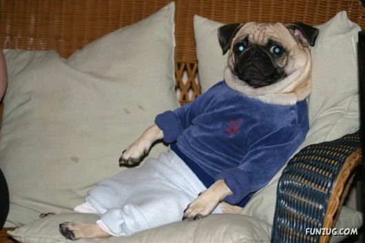 Feeling Warm in Your New Winter Wear